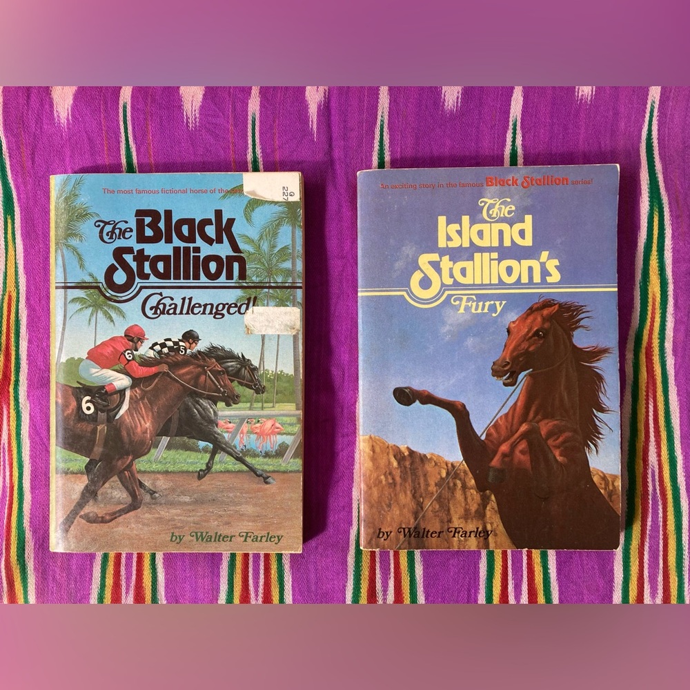The Black Stallion Series Novels - 2 paperback novels